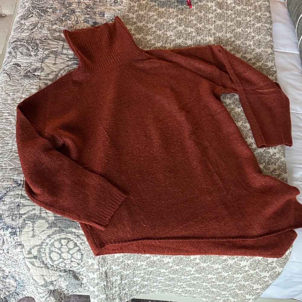 Elegant Rust Turtleneck Sweater